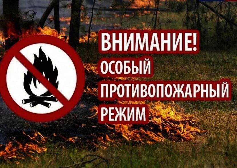 На территории Томской области объявлен особый противопожарный режим.