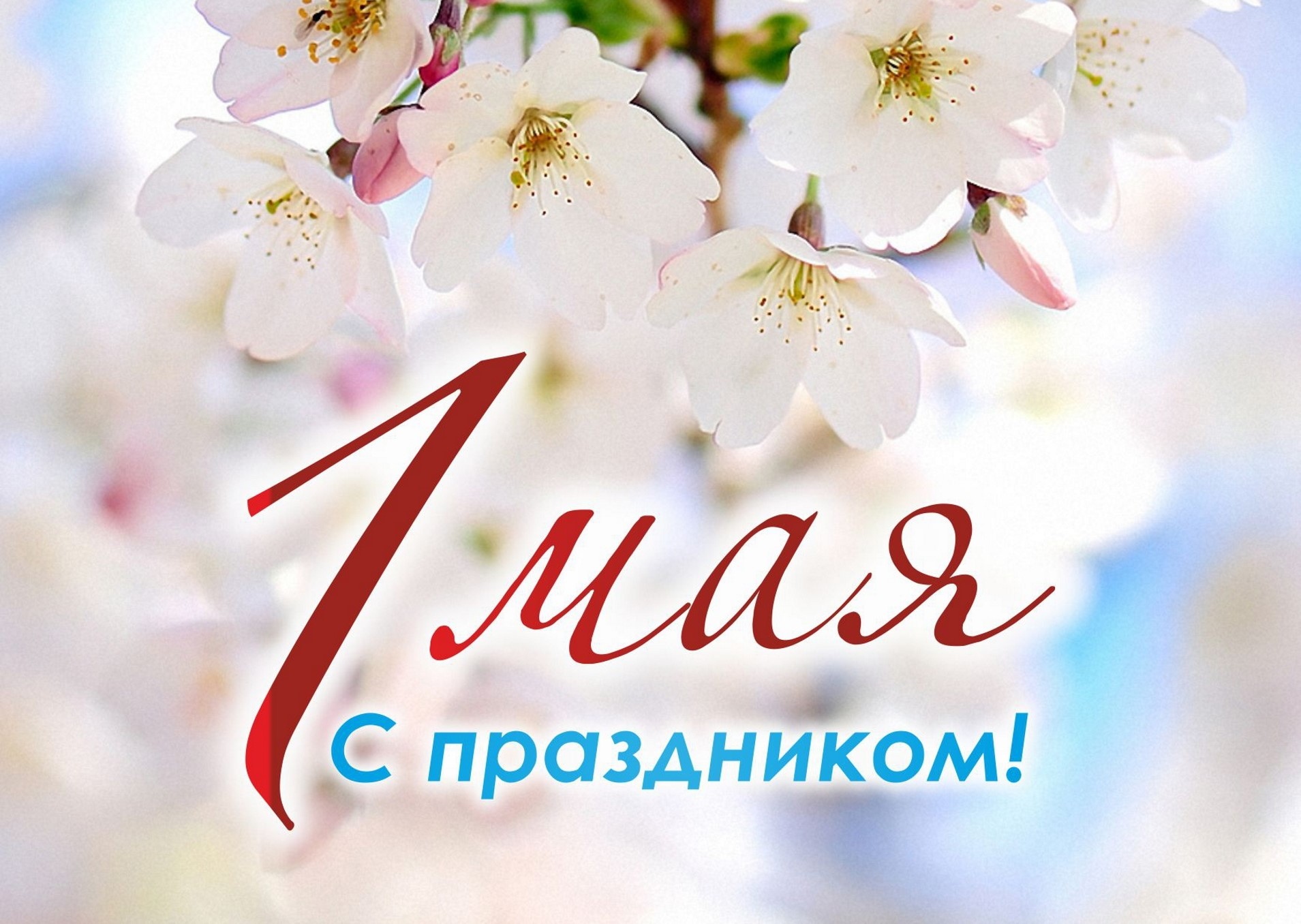 С праздником 1 Мая - Днем весны и труда!.